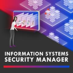 Information Systems Security Manager